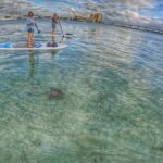 Paddle Boarding Activity to Peanut Island - Who Should Book This Tour?