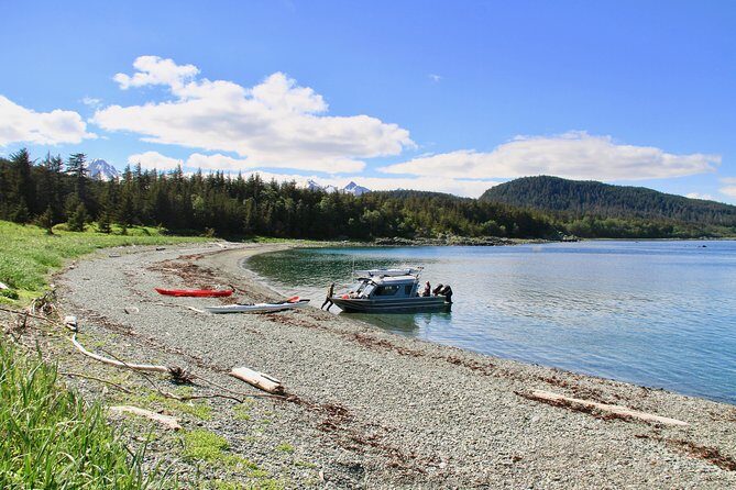 Paddle with Whales Kayak Adventure Juneau - The Experience in Detail