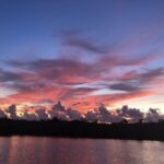 Panama City: Sunset Dolphin Cruise in St. Andrews Bay - Who Will Love This Tour?