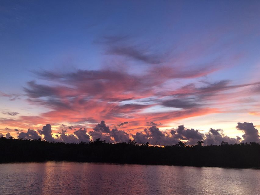 Panama City: Sunset Dolphin Cruise in St. Andrews Bay - Who Will Love This Tour?