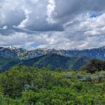 Park City Hiking Activity with Local Guide - Frequently Asked Questions