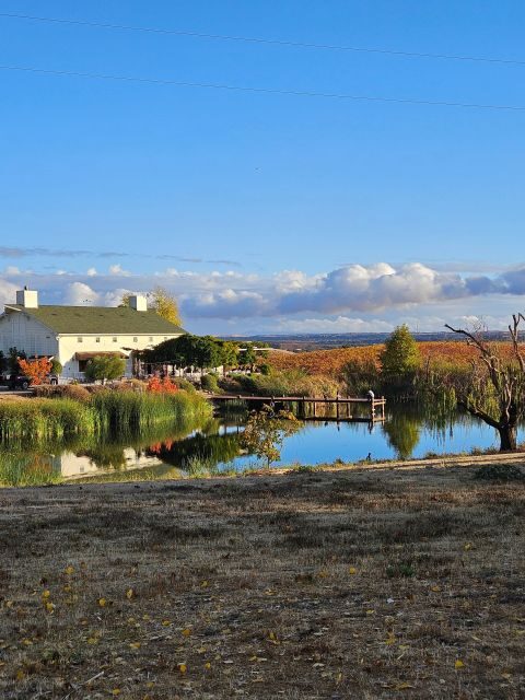 Paso Robles & Atascadero: 3-Winery Tour Including Lunch - Final Thoughts: Is It Worth It?