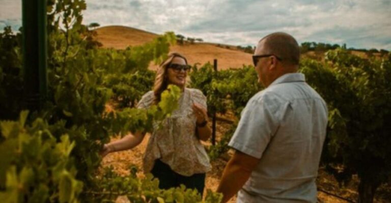 Paso Robles: Grapevine Getaway Exclusive Wine Tour - The Scenic Ride & Vineyard Views