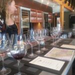 Paso Robles Wine Adventure with pickup from Morro Bay, CA - FAQ