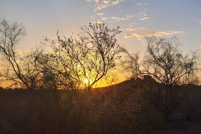 Peaceful Morning Walk: Guided Journey Through the Sonoran Desert - The Sum Up