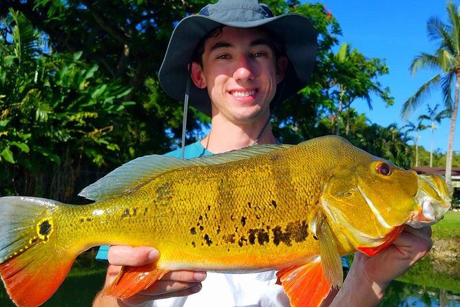 Peacock Bass Fishing Trips Near Key Largo - A Deep Dive Into the Experience