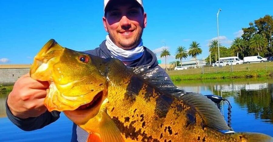 Peacock Bass Fishing Trips Near Miami Florida - Who Should Consider This Tour?