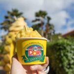 Pearl Harbor + Dole Plantation + Polynesian Center from Maui - Practical Details and What to Expect
