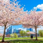 Philadelphia Cherry Blossom 1-Day Tour from New York - Who Should Consider This Tour?