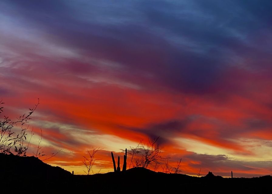 Phoenix: Amazing Two-Hour Guided Hike in the Sonoran Desert - Practical Details and Whats Included