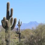 Phoenix Wilderness Hiking Tours - The Value of the Tour