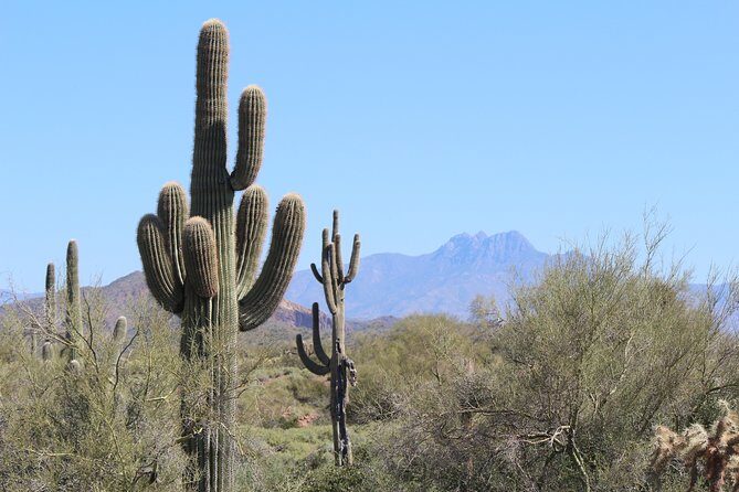 Phoenix Wilderness Hiking Tours - The Value of the Tour