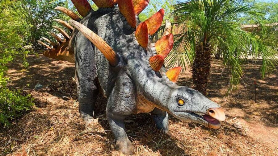 Phoenix Zoo One Day General Admission Ticket - What to Expect from Your Visit