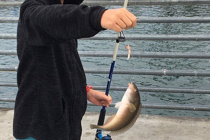 Pier Fishing Tour - San Diego - What to Expect on the Pier Fishing Tour