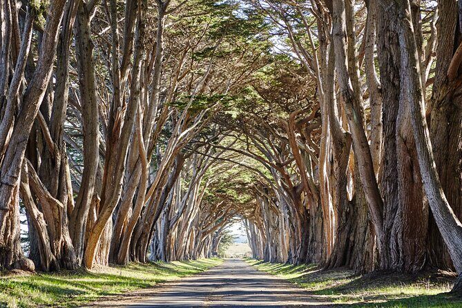 Point Reyes National Seashore Self Guided Driving Audio Tour - Practical Considerations and Tips