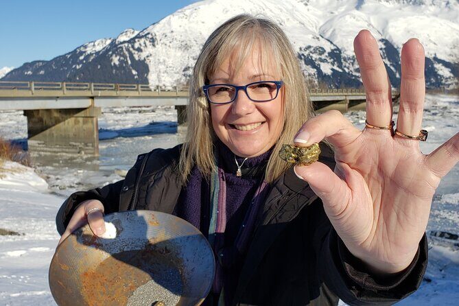Premiere City Tour of Anchorage-Mountain views & Native Culture - What Travelers Say