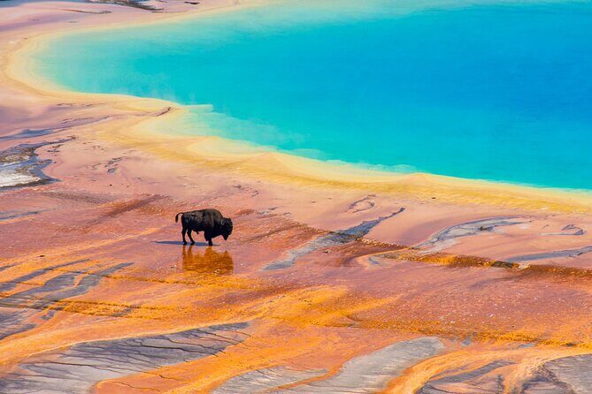 Private 2-Day Yellowstone Tour - Upper and Lower Loop - The Value of Expert Guidance and Equipment