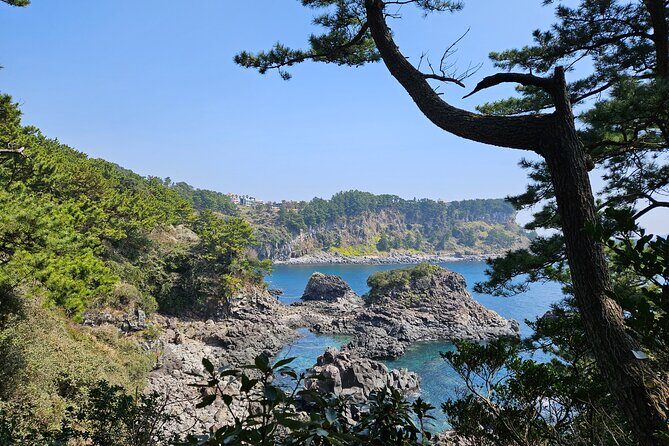 Private 2Days Tour a lot of Experience Driver in jeju island - An In-Depth Look at the 2-Day Jeju Tour