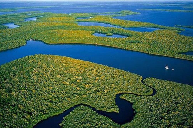 Private 4 Hour Everglades Tour Experience in the Wilderness - What to Expect from the Private Everglades Tour