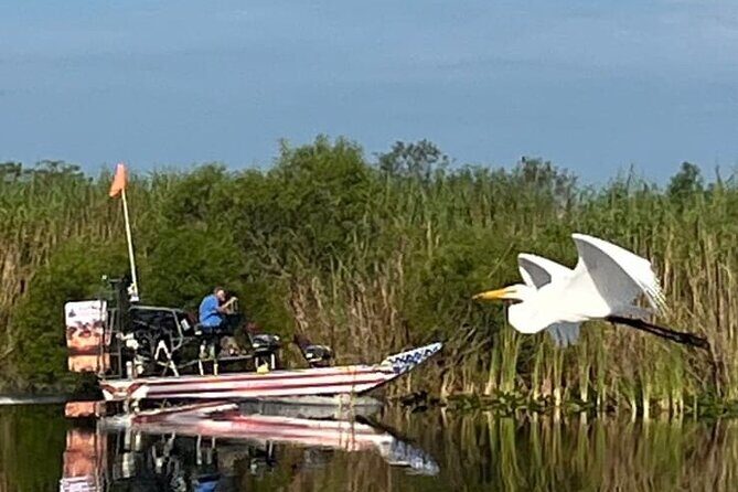 Private 90 Minutes Everglades Airboat Adventure - What About the Price?