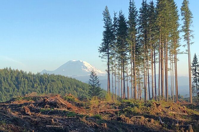 Private Adventure Mountain Biking in Seattle's Eastside - Who Should Consider This Tour?