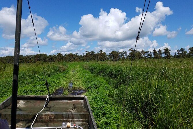 Private Airboat Swamp Tour - Authenticity and the Value of a Private Tour