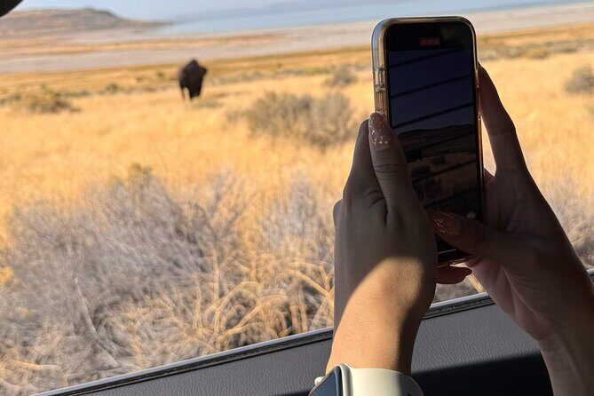 Private Antelope Island & Great Salt Lake Tour - Exploring the Itinerary