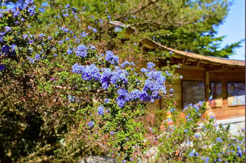 Private Bainbridge Island Discovery Tour - A Closer Look at the Itinerary and Key Stops