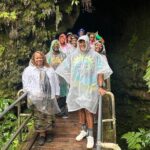 Private Big Island Customizable 14 person Tour/Chauffeur Service - The Sum Up