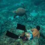 Private Boat Cruise of Waikiki! Snorkel, Sightseeing, Sea Life! - Final Thoughts