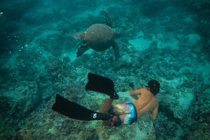 Private Boat Cruise of Waikiki! Snorkel, Sightseeing, Sea Life! - Final Thoughts