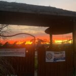 Private Cabana Rental on the San Marcos River - Final Thoughts