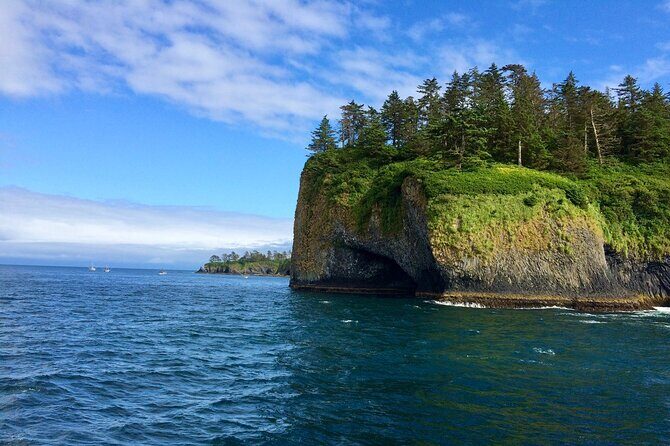 Private Charter Scenic Wildlife Excursion for Cruise Passengers - Value and Pricing: Is It Worth It?