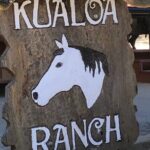Private Circle Island Full Day up to 14 people (Se habla Español) - Halona Blowhole