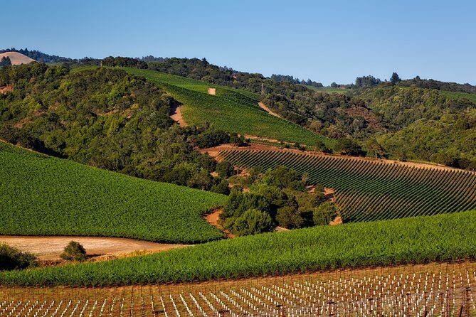 Private, Customized Sonoma Valley Wine Tour - FAQ
