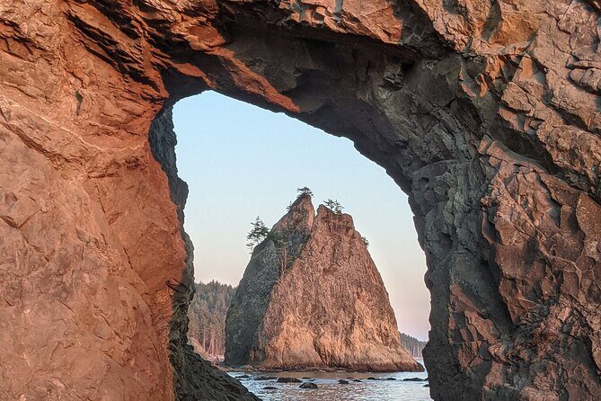 Private Day Hike- Rialto Beach Tide Pooling - Who Would Love This Tour?