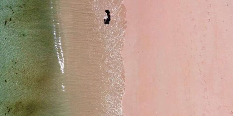 Private day tour to pink beach-sand island-gili petelu - Who Should Consider This Tour?