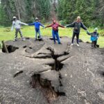 Private Day Tour to Sequoia and Kings Canyon Parks From LA - Practical Details