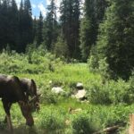 Private Denver International Airport Transfer to Vail or Beaver Creek - Why this transfer suits you