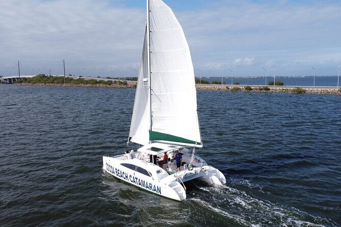 Private Dolphin Catamaran Sail In Cocoa Beach - Why This Tour Is Worth Considering