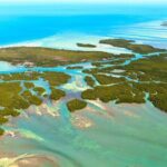 Private Dolphin Playground Safari - Authentic Insights from Reviewers