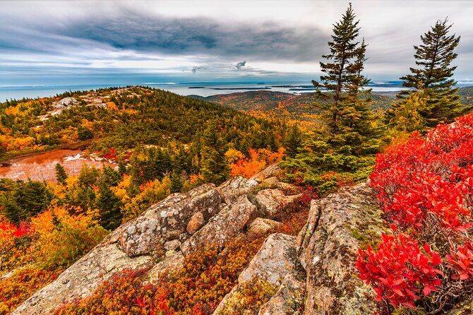 Private Exploration Tour of the Top Spots of Acadia - Analyzing the Experience: What Makes This Tour Stand Out