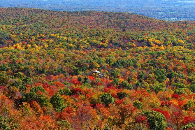 Private Fall Foliage Helicopter Tour for 2-6 from Westchester - Who Will Love This Tour