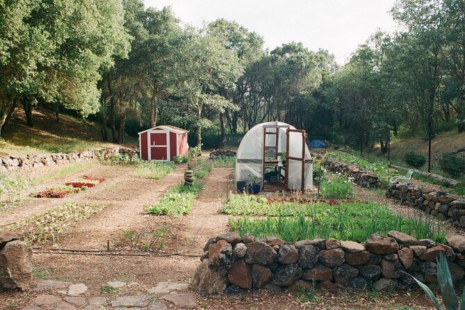 Private Farm Workshop in Napa Valley - What You Can Expect on the Tour