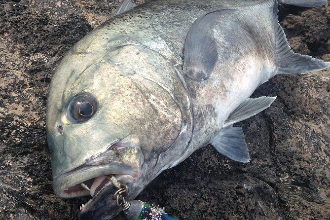 Private Full Day of GT Fishing - Authentic Experiences and What Reviewers Say