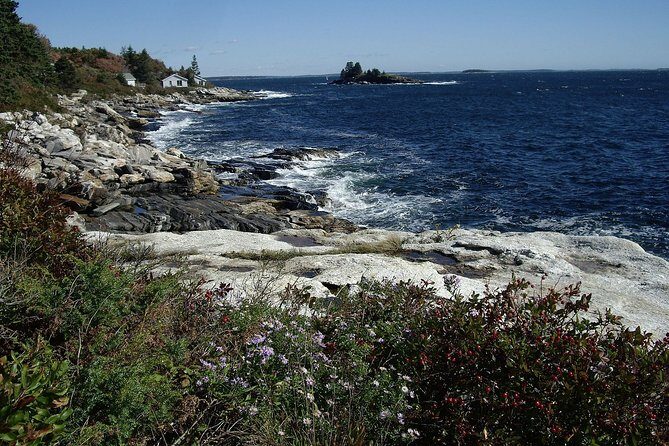 Private Full Day Tour to Coastal Maine from Boston with Hotel pick-up - Authentic Insights from Reviews