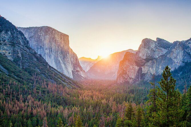Private Full Day Yosemite National Park Tour from San Francisco - Transport and Comfort