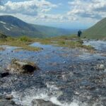 Private Hatcher Pass, Iditarod & Local Wildlife Tour - Why This Tour Offers Great Value