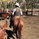 Private Horseback Riding in Wyoming - Who Will Love This Tour?