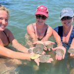 Private Island Eco Tours on a Private Boat from Shackleford Banks - How to Make the Most of Your Day